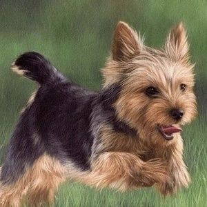 Meet your Posher, Arleen